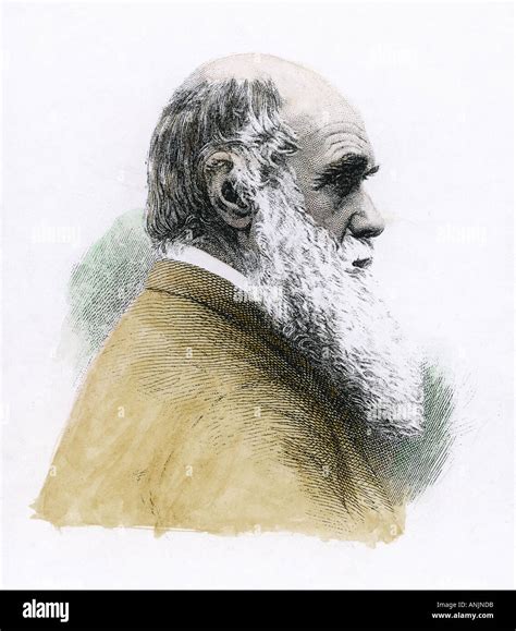 Charles Darwin Naturalist Hi Res Stock Photography And Images