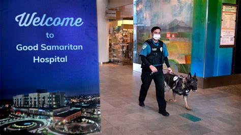 Multicares Good Samaritan Hospital Has A New K 9 Unit Tacoma News