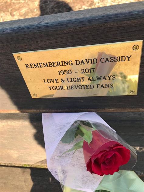 Pin By Dcgbteam On David Cassidy Phoenix Theatre London Memorial Plaque David Cassidy David