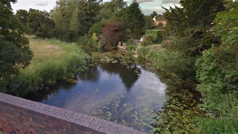 Hot Weather Kills 6 000 Fish In Essex Norfolk And Suffolk BBC News