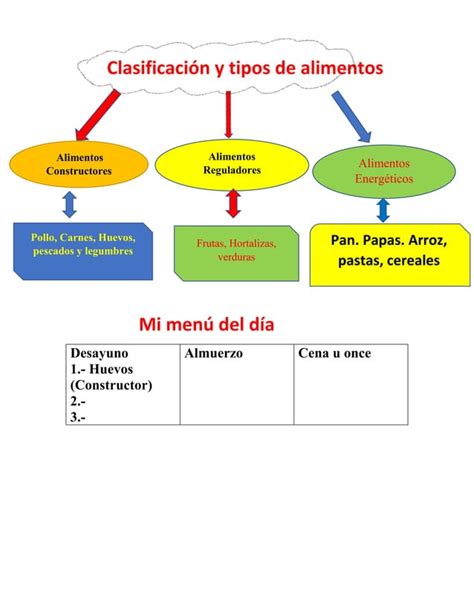 Sexto B Sico Clasificaci N Y Tipos De Alimentos Docx