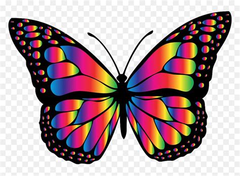 rainbow butterfly - Clip Art Library - Clip Art Library