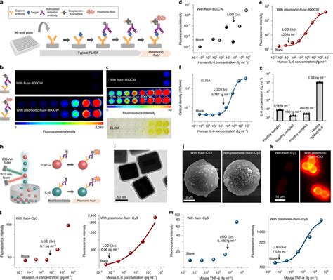 P Flisa And Multiplexed Bead Based Immunoassay A Schematic Download Scientific Diagram