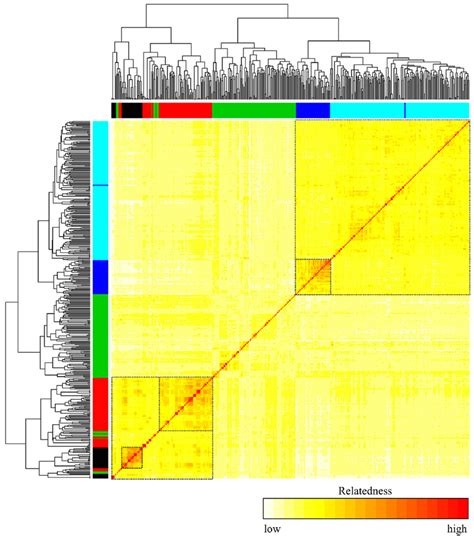 Heat Map Of Relatedness Among Genotypes Dendrograms Were Plotted