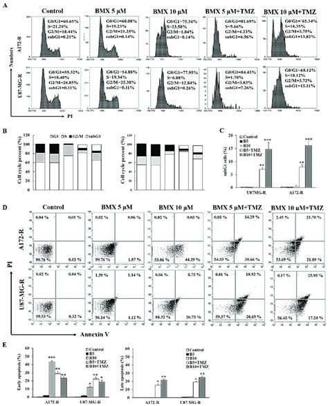 Bmx And Tmz Combination Enhanced The Tmz Mediated Cytotoxic Effect By