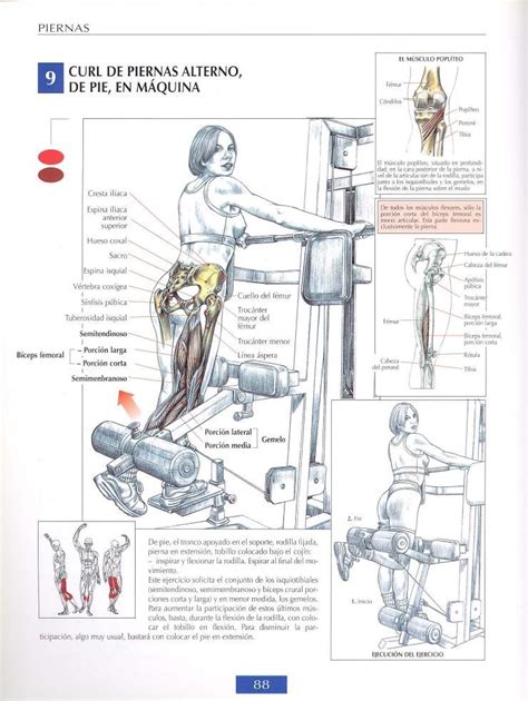 Curl de biceps femoral de pie