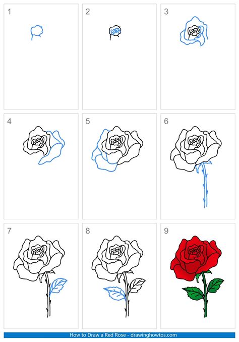 How to Draw a Red Rose - Step by Step Easy Drawing Guides - Drawing Howtos