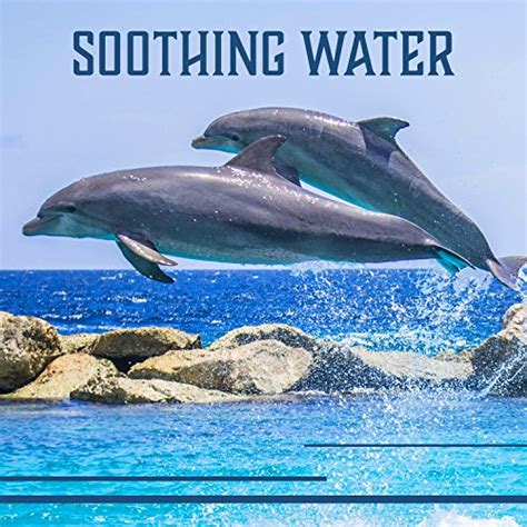 Soothing Water Liquid Ambient Whales Dolphins Sound Calm Mind