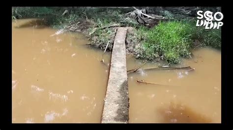 Mancing Ikan Betok Jumbo Air Banjir Dapatnya Ikan Ini Youtube