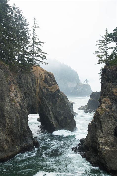 Samuel Boardman State Park Oregon 1 Engineer Photo Print Oregon