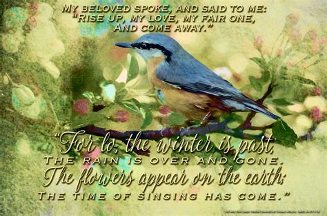 Spring Bird Picture With Bible Verses From Song Of Solomon 210 12