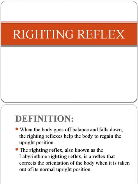 Righting Reflex | PDF