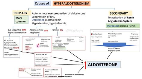 Hyperaldosteronism - Pathology Made Simple