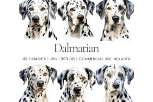 Realistic Dalmatian Watercolor Clipart Graphic By Ikota Design