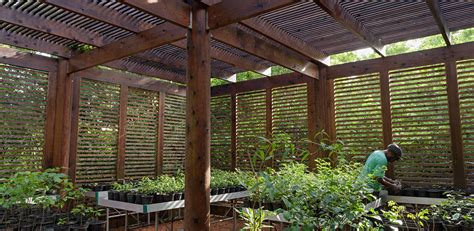 2021 Asla General Design Award Of Honor The Leon Levy Native Plant Preserve Raymond Jungles