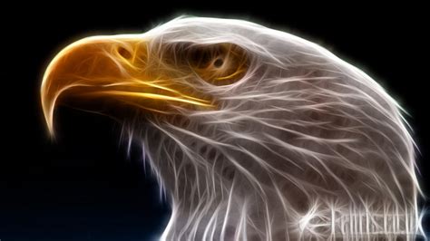 Fractal Bald Eagle By Fenrisoswin On Deviantart