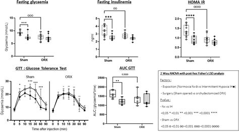 Metabolic Effect Of Orchidectomy On C57bl6j Mice Exposed To