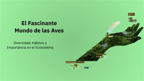 El Fascinante Mundo de las Aves by alexander guerrero on Prezi