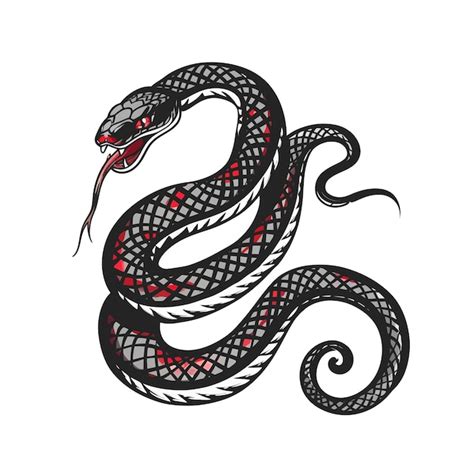 Una Serpiente Negra Y Roja Con Rayas Rojas Y Blancas En Ella Vector