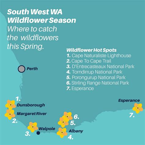 Wildflower Season Wa Find Australian Native Wildflowers 2023