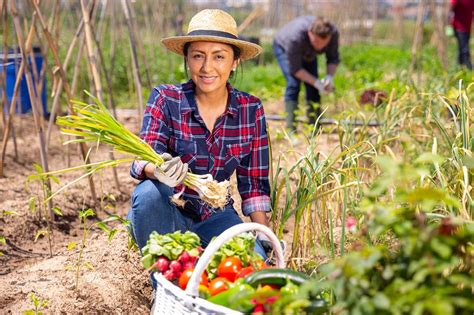 Campesinos Que Los Improvistos No Afecten La Continuidad Y Finanzas De