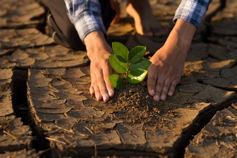 6º Relatório Do Ipcc Impactes Adaptação E Vulnerabilidade