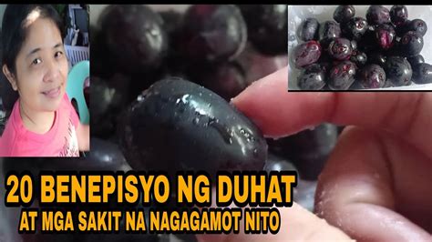 20 BENEPISYO NG DUHAT AT MGA SAKIT NA NAGAGAMOT NITO YouTube