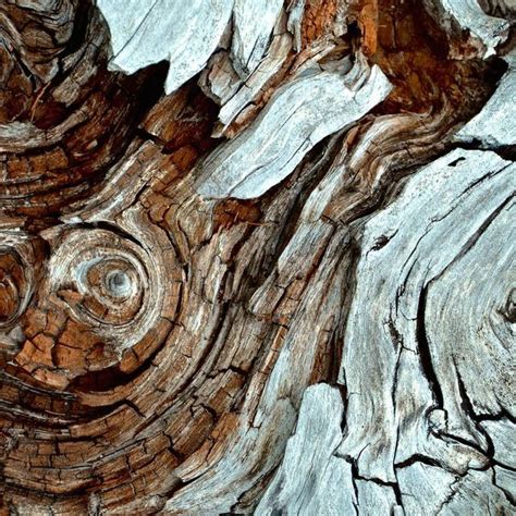 An Image Of Wood That Is Very Close To The Ground And Looks Like It Has