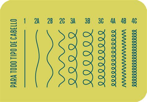 Chica Latina Productos Latina