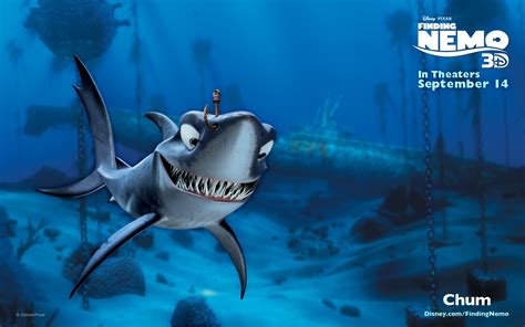 Download Chum Finding Nemo Shark Movie Finding Nemo Hd Wallpaper