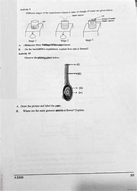 Class 6 Basic Science Onam Exam Question Paper 2024 Pdf Kerala Std