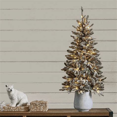 Trendy Christmas Trees | Canadian Tire