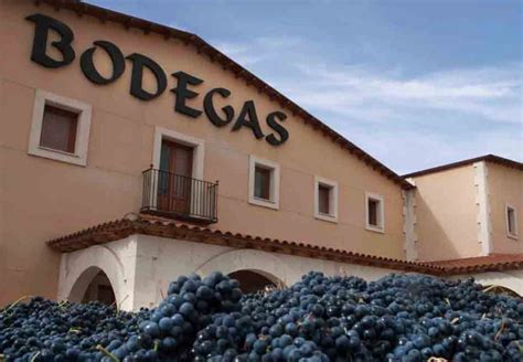 Viñedos Y Bodegas Gormaz Vinos Característicos Sorianos De Ribera Del