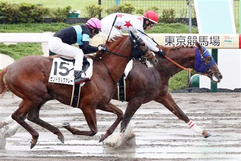 【東京4r・2歳新馬】ミッキーファイトが差し切ってデビュー飾る 津村明秀騎手「この馬場でよく届いてくれた」 Umatoku 馬トク