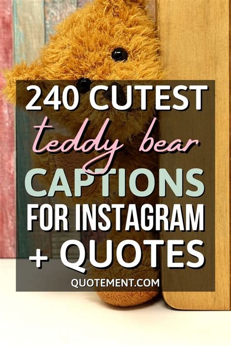 Cutest Teddy Bear Captions For Instagram Quotes Teddy Bear