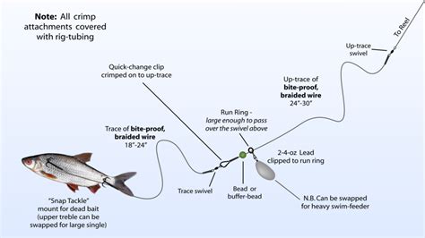 Pike Fishing: The FD Guide to Fishing for Northern Pike (Esox lucius)