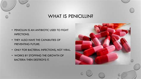 Ppt The Development Of Penicillin Powerpoint Presentation Free Download Id2649658