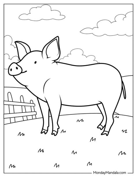 Pig On A Farm Coloring Page