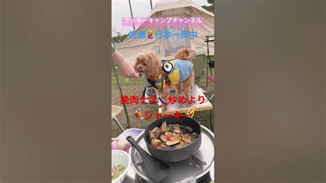 挽肉ナス🍆炒めより🍖ジャーキー🐶妊婦🤰犬連れ日本一周中 ️ 日本一周 妊婦 マタニティー旅行 マタ旅 セレナ クッキーキャンプチャンネル クッキー チワプー 車中泊 テント泊