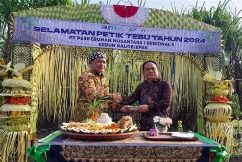 Petik Tebu Manten TMA 2024 Harapan Panen Melimpah Dan Gula Berkualitas