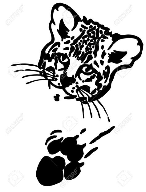 Leopard Face Drawing at GetDrawings | Free download