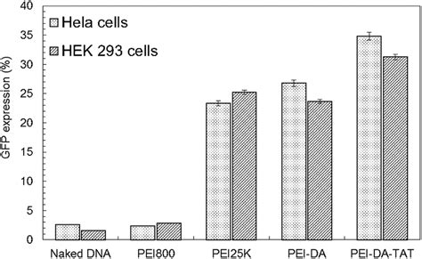 Gfp Expression In Hela Cells And Hek Cells Transfected By Pegfp N