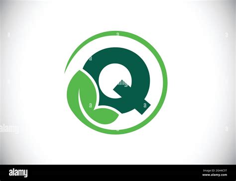 Initial Q Monogram Alphabet With Leaf Eco Friendly Logo Concept Font