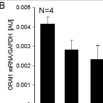 Chorein And Orai Expression In Various Rhabdomyosarcoma Cell Lines As