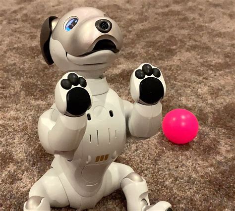 Sony Aibo Robot Dog Review: K-9 Eat Your Heart Out Talking Dog, Sleepy ...