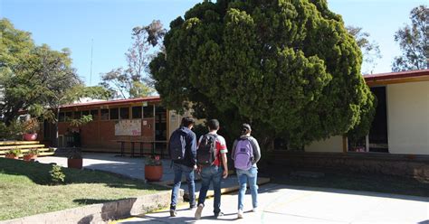 Tras Denuncias Por Acoso De Alumnas Separan A Coordinadora De