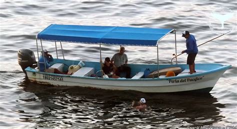 Stephanie Montero busca nuevo récord en Nado por Las Ballenas