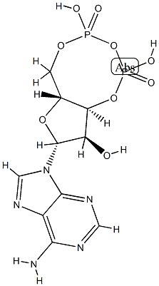 고리형 아데노신 3 5 이인산 CAS 77319 01 8 ChemWhat 화학 및 생물학 데이터베이스 AI 화학자