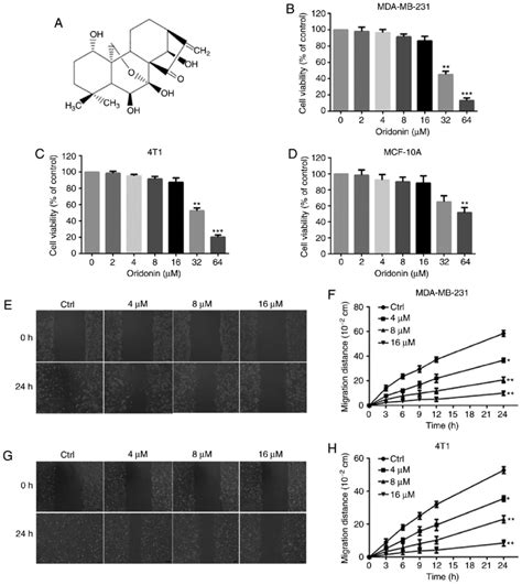 Effects Of Oridonin On The Viability And Migratory Ability Ofbreast