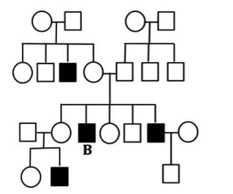 Solved The Pedigree Below Shows The Inheritance Of A Very Chegg